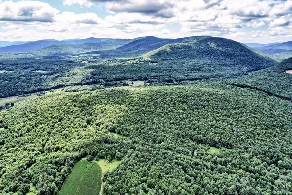 $595,000 | 36422 Highway 23, Roxbury, NY 12434