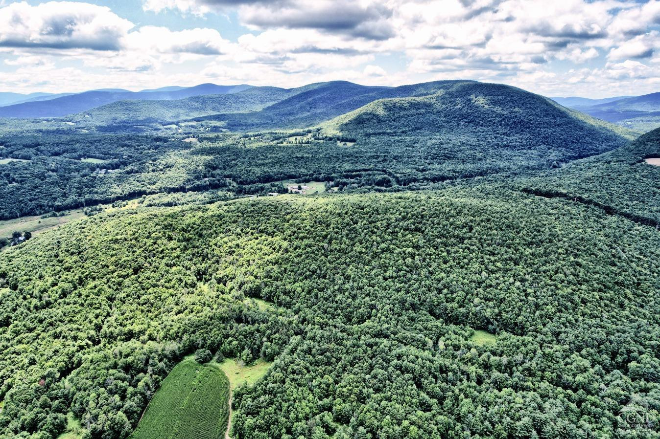 36422 Highway 23 Roxbury, NY 12434 - Photo 70 of 70 a view of a lush green hillside and a mountain