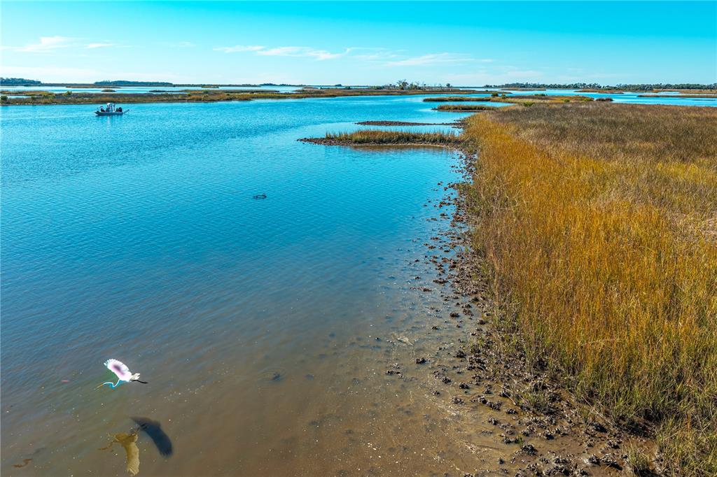 Clark Island Cedar Key, FL 32625 - Photo 2 of 46