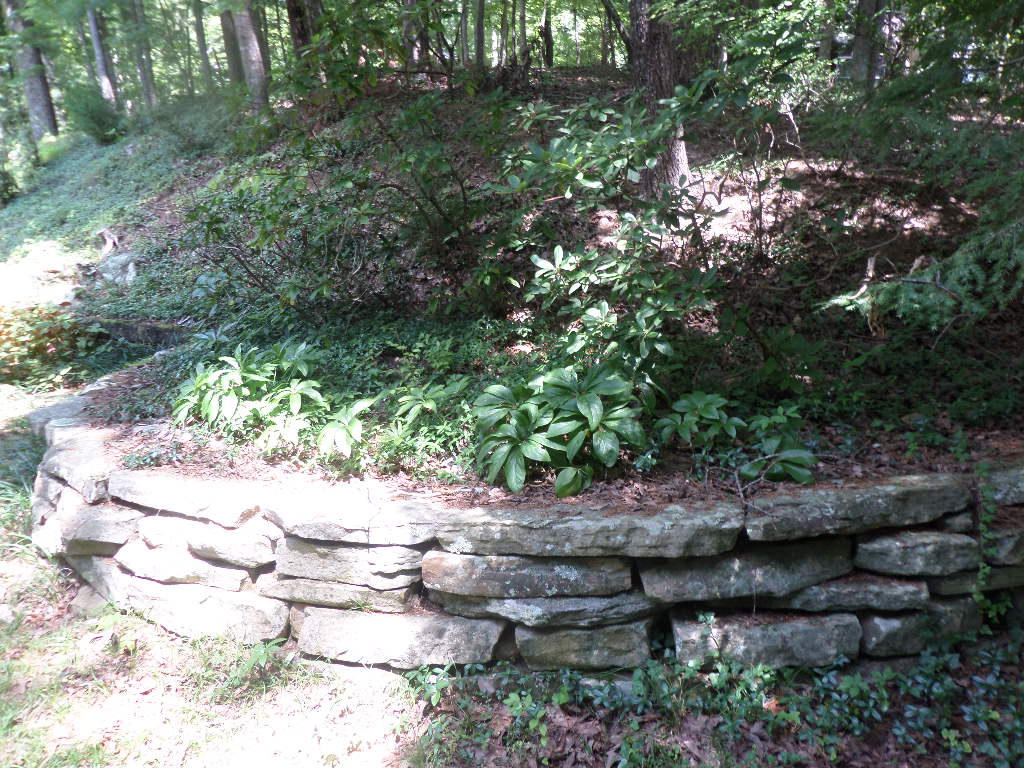 102 Ditman Lane Oak Ridge, TN 37830 - Photo 28 of 28 yard
