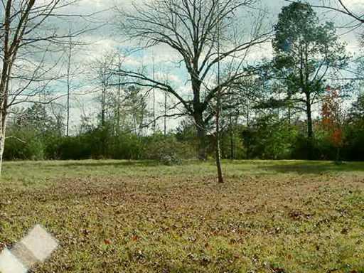 74534 North River Road Kentwood, LA 70444 - Photo 5 of 6 Gallery Image 5