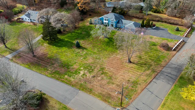 a view of a backyard with plants