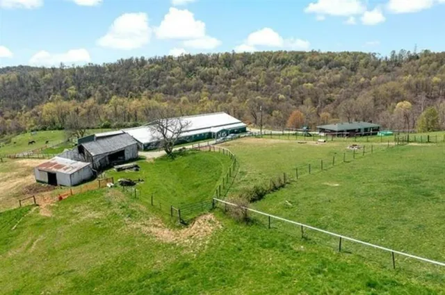a aerial view of a house with pool big yard and large trees