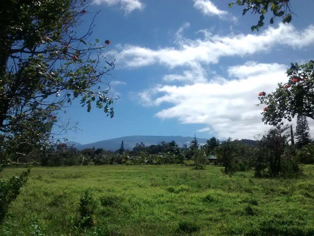653 Kauhikoa Road, Unit A Haiku, HI 96708 - Photo 13 of 28 a view of a bunch of trees and houses