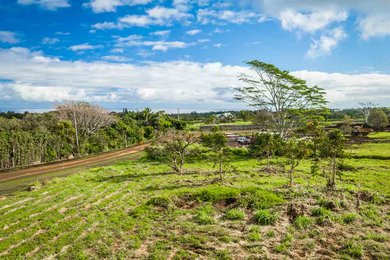 653 Kauhikoa Road, Unit A Haiku, HI 96708 - Photo 16 of 28 a view of a garden