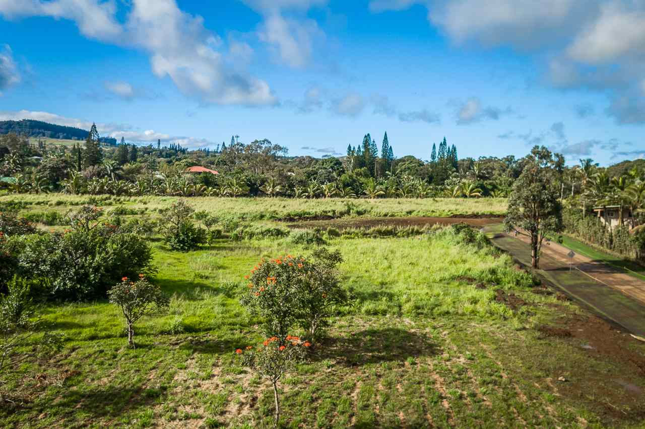 653 Kauhikoa Road, Unit A Haiku, HI 96708 - Photo 19 of 28 a view of a city