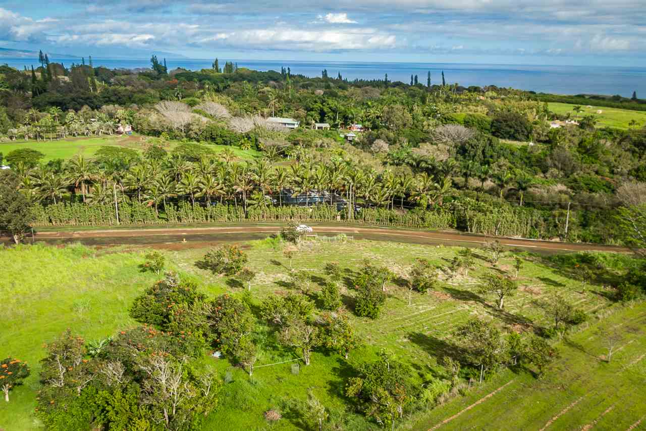 653 Kauhikoa Road, Unit A Haiku, HI 96708 - Photo 25 of 28 a view of a yard with an outdoor space