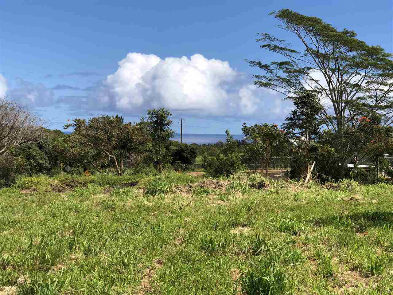653 Kauhikoa Road, Unit A Haiku, HI 96708 - Photo 6 of 28 a view of a yard with plants and a bench