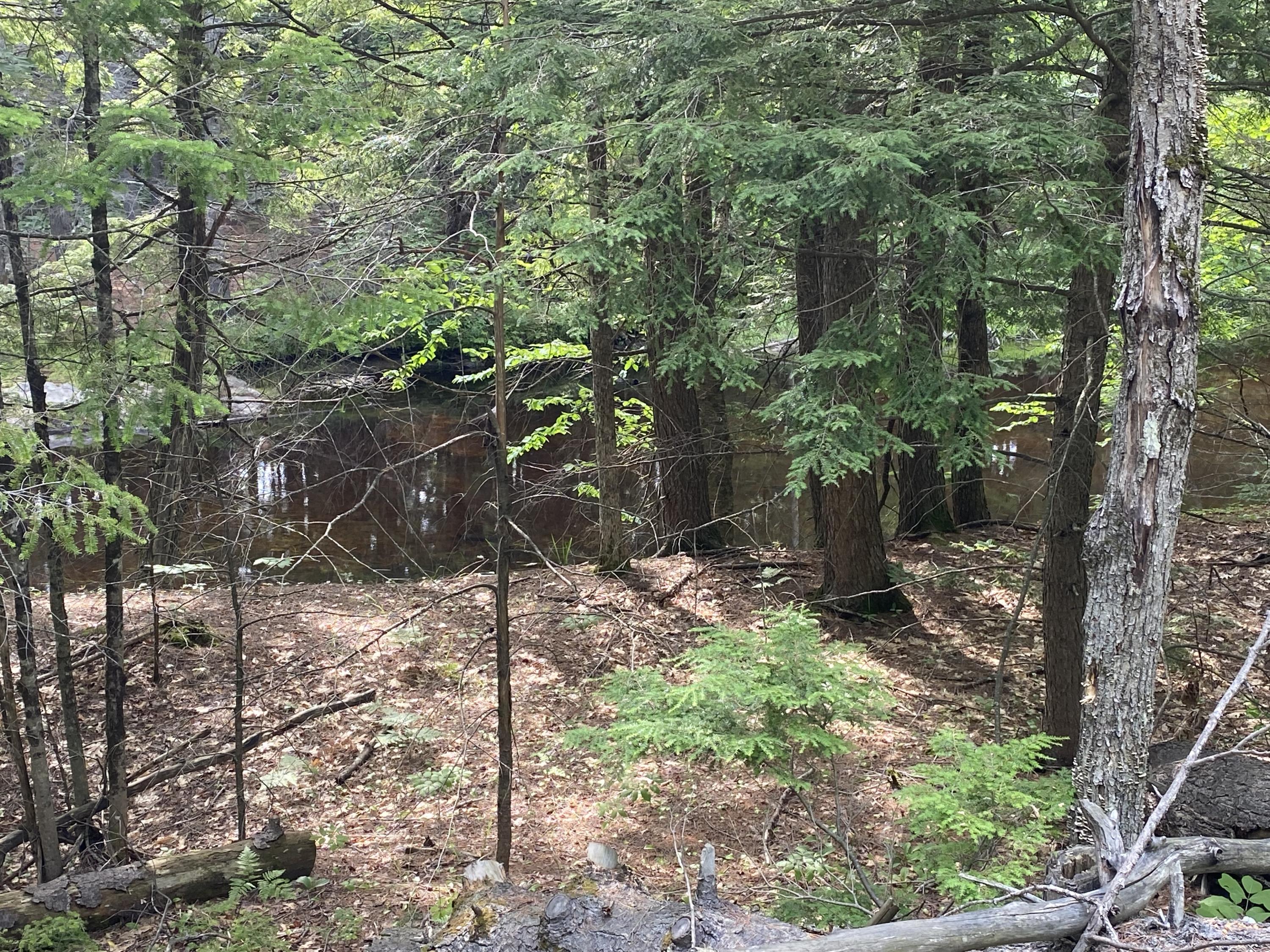 0 Sumner Road Buckfield, ME 04220 - Photo 1 of 5 river