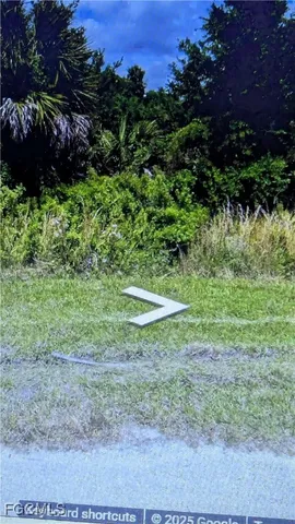 a view of a green yard