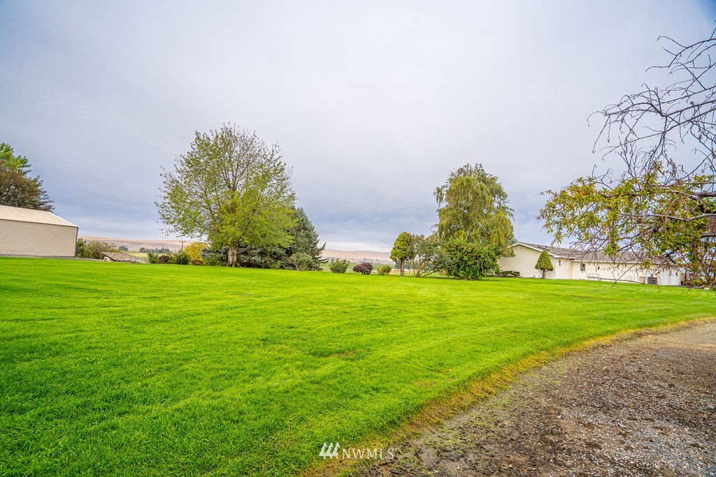 841 South Taylor Road Othello, WA 99344 - Photo 9 of 40 a yard with lots of green space and trees