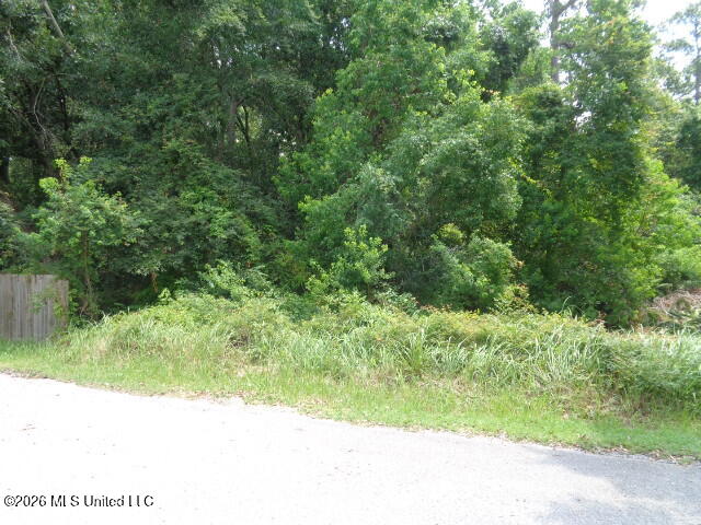 Wayne Lane Biloxi, MS 39532 - Photo 4 of 5 DSC06146