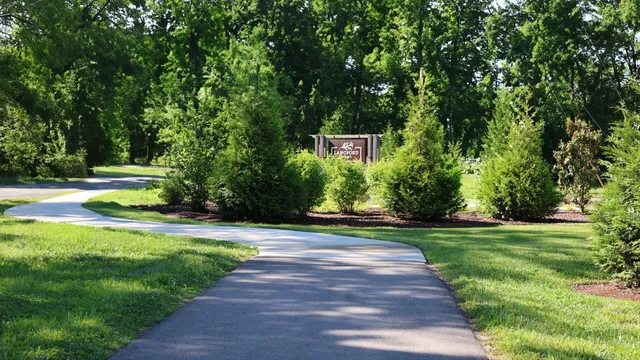 a view of a park with large trees