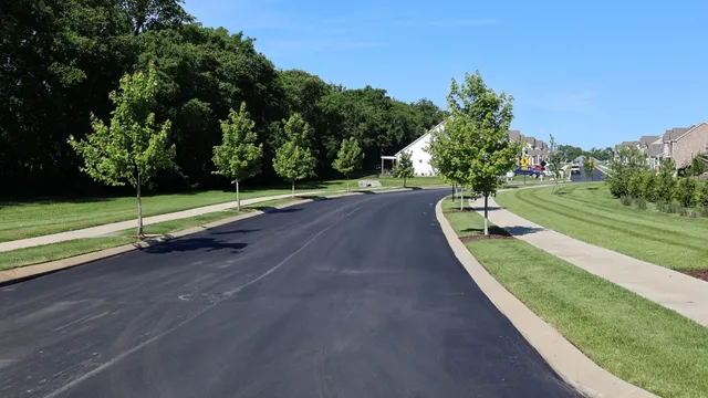 a park view with a bench