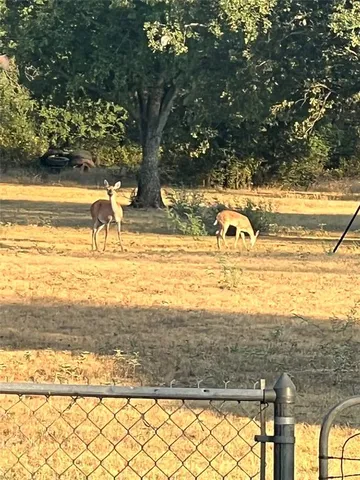 a view of a yard with an empty space