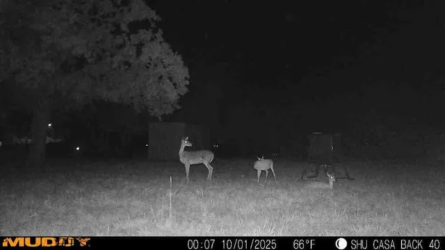a house view with a sitting space and garden