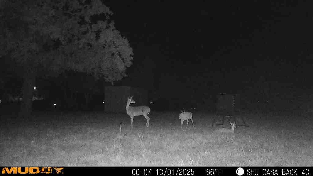 310 Centeridge Lane Graham, TX 76450 - Photo 24 of 36