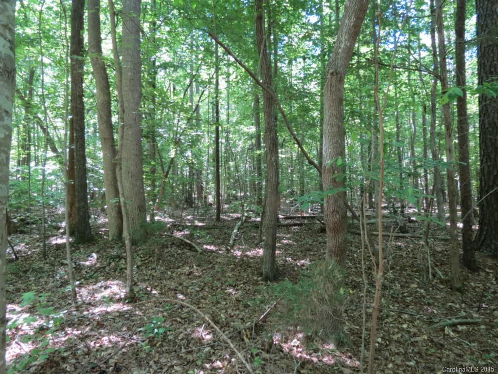 2-ac Oak Hill Road Chester, SC 29706 - Photo 2 of 9
