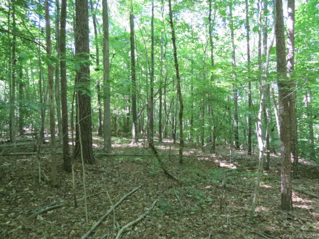 2-ac Oak Hill Road Chester, SC 29706 - Photo 3 of 9