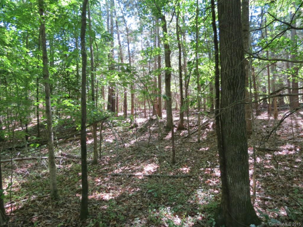 2-ac Oak Hill Road Chester, SC 29706 - Photo 4 of 9