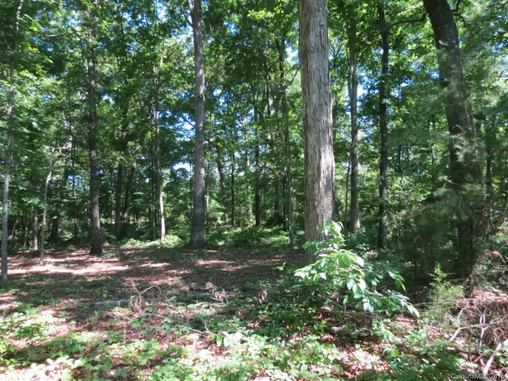 2-ac Oak Hill Road Chester, SC 29706 - Photo 5 of 9