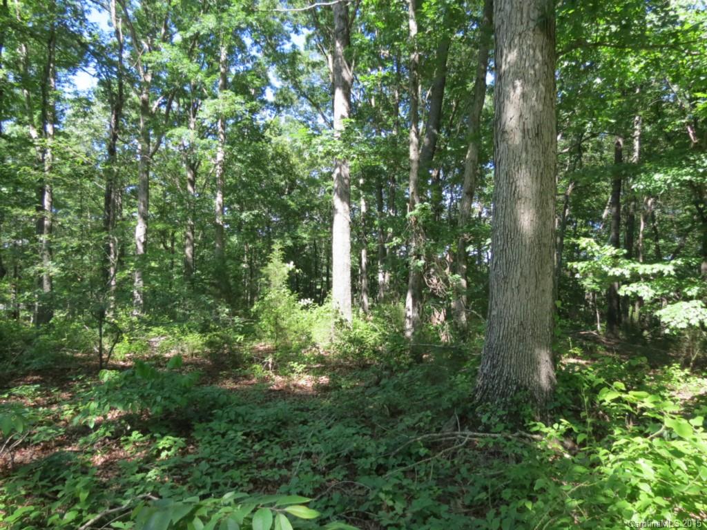 2-ac Oak Hill Road Chester, SC 29706 - Photo 6 of 9