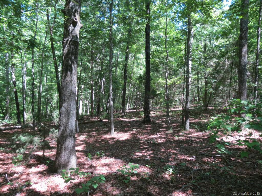 2-ac Oak Hill Road Chester, SC 29706 - Photo 7 of 9