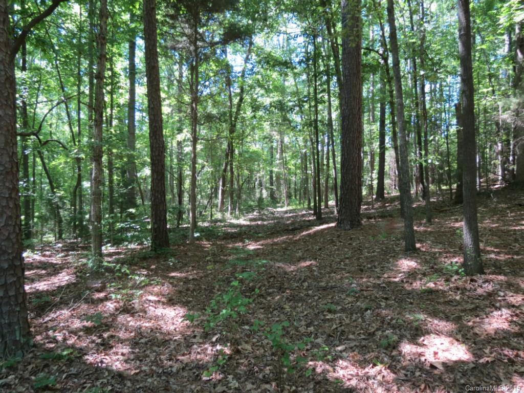 2-ac Oak Hill Road Chester, SC 29706 - Photo 9 of 9