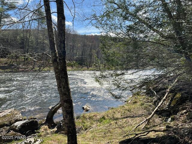 241 Lcpl Jacob Beisel Road Lackawaxen, PA 18435 - Photo 22 of 78 Rapids