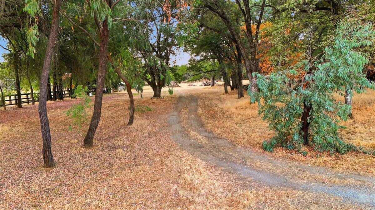 13656 Beitler Road Penn Valley, CA 95946 - Photo 38 of 46 Gallery Image 38
