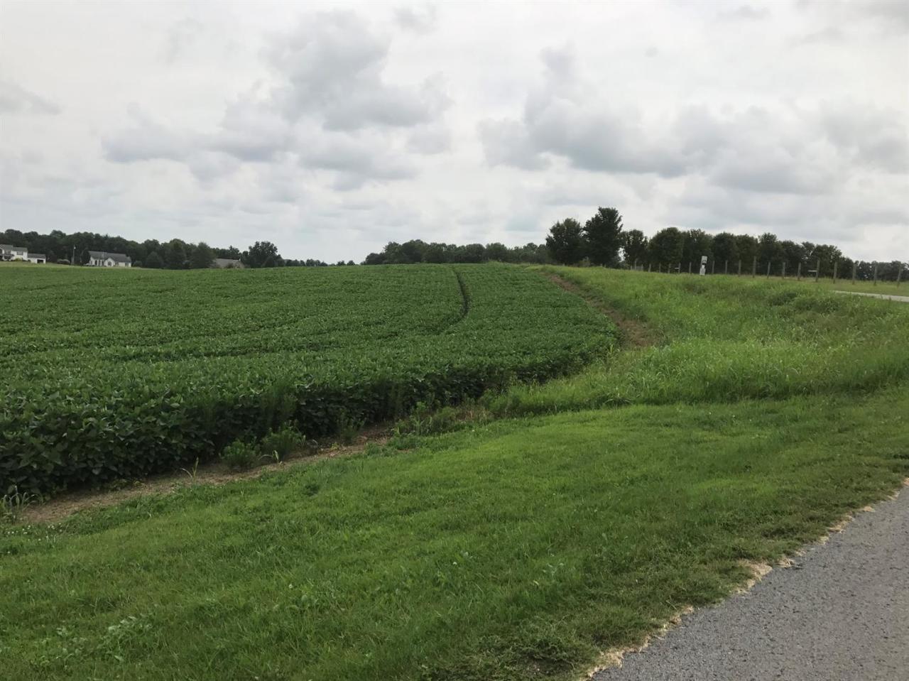 34 South Romine Loop Road Campbellsville, KY 42718 - Photo 1 of 16 Primary Photo