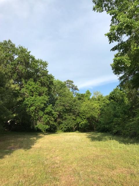 0 Old Towne Road Charleston, SC 29407 - Photo 1 of 7 FRONT