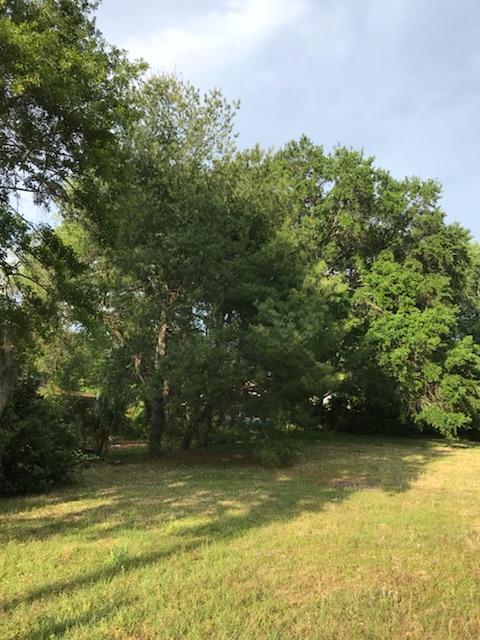 0 Old Towne Road Charleston, SC 29407 - Photo 2 of 7 LEFT SIDE OF LOT