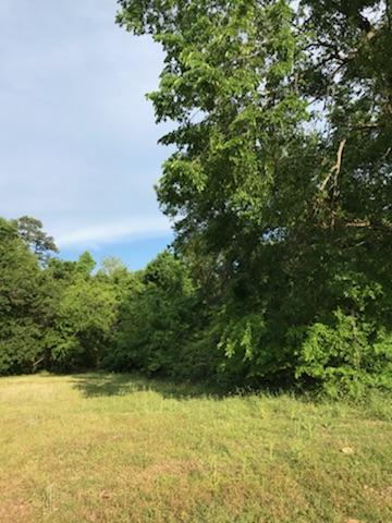0 Old Towne Road Charleston, SC 29407 - Photo 3 of 7 RIGHT SIDE OF LOT