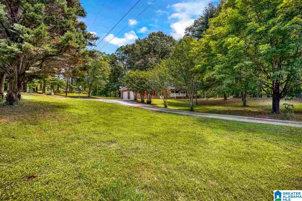225 County Road 33 Oneonta, AL 35121 - Photo 26 of 41
