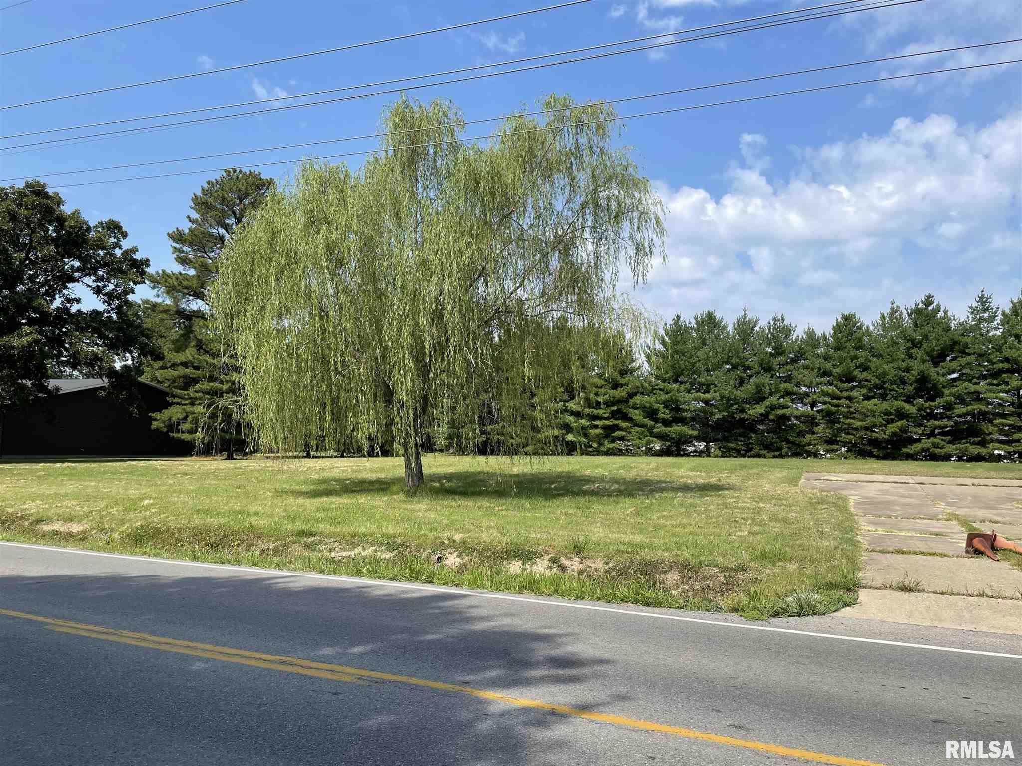 13893 Bandyville Road Herrin, IL 62948 - Photo 3 of 8