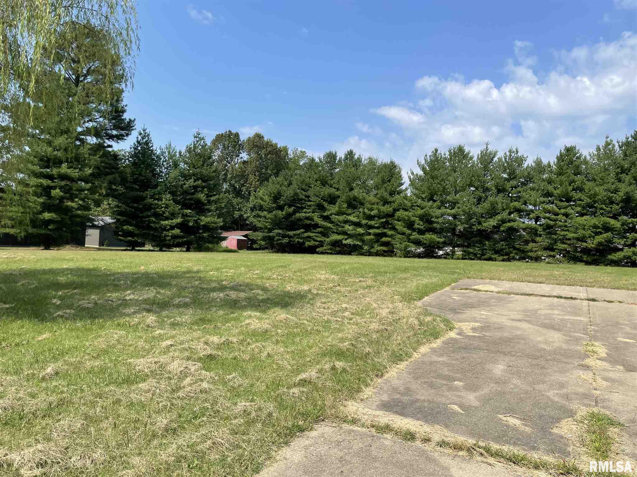 13893 Bandyville Road Herrin, IL 62948 - Photo 8 of 8