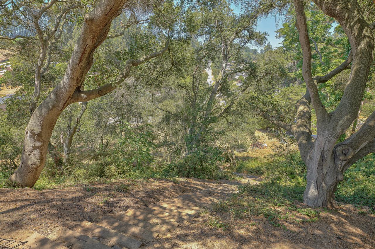 180 Echo Valley Road Prunedale, CA 93907 - Photo 37 of 43 Gallery Image 37