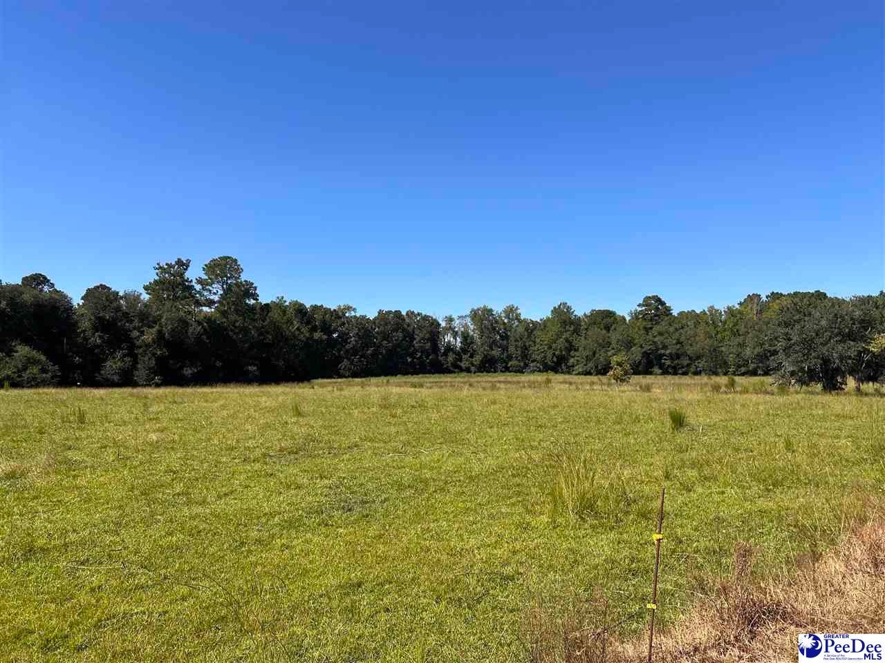 740 County Rd S-45-194 Hemingway, SC 29554 - Photo 1 of 14 Gallery Image 1