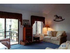 625 Otter Road, Unit 25 Grantham, NH 03753 - Photo 1 of 3