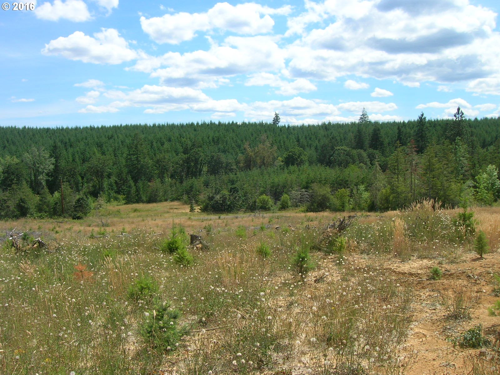 Mccain Road Monroe, OR 97456 - Photo 12 of 23 Gallery Image 12