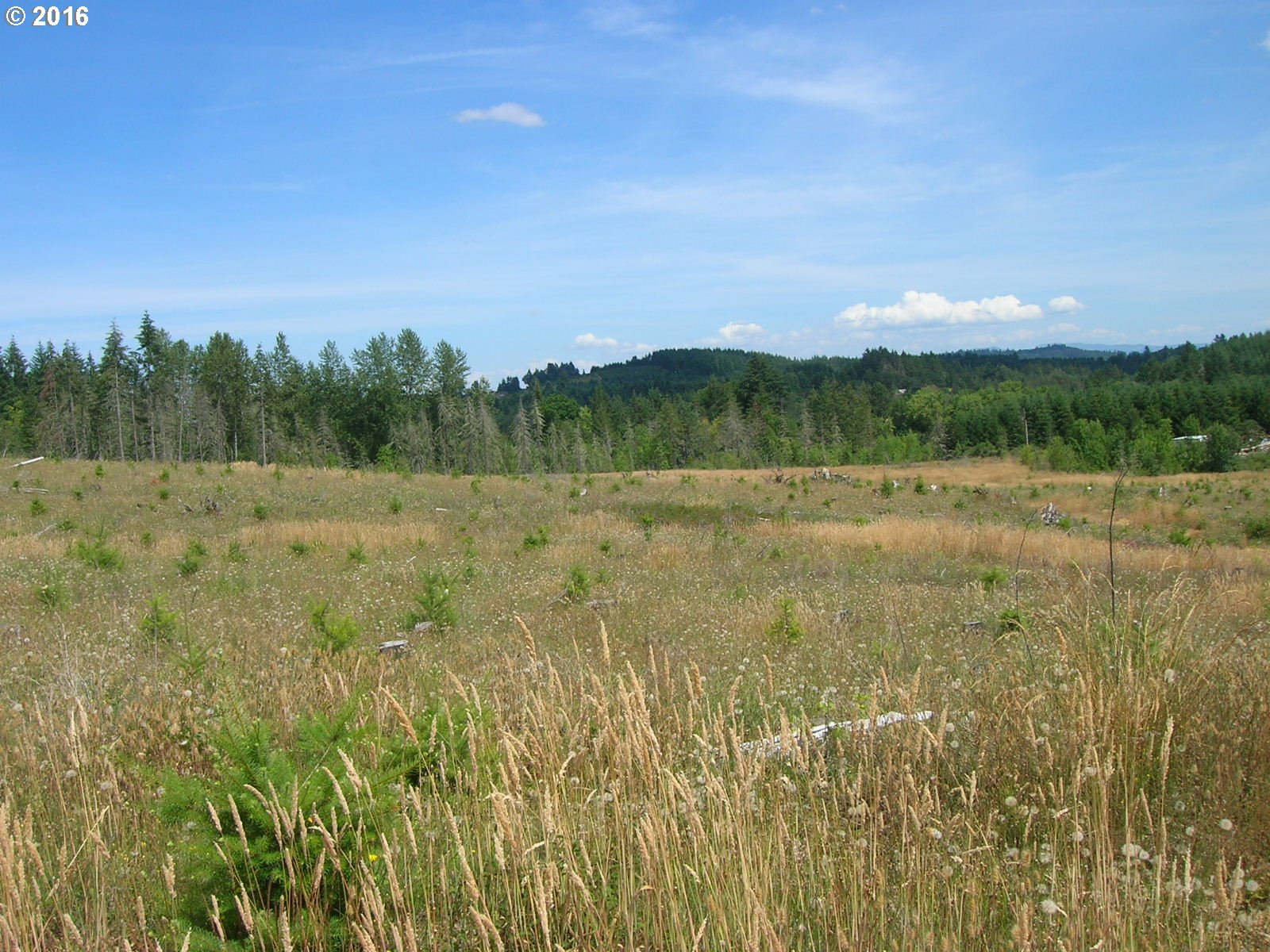 Mccain Road Monroe, OR 97456 - Photo 13 of 23 Gallery Image 13