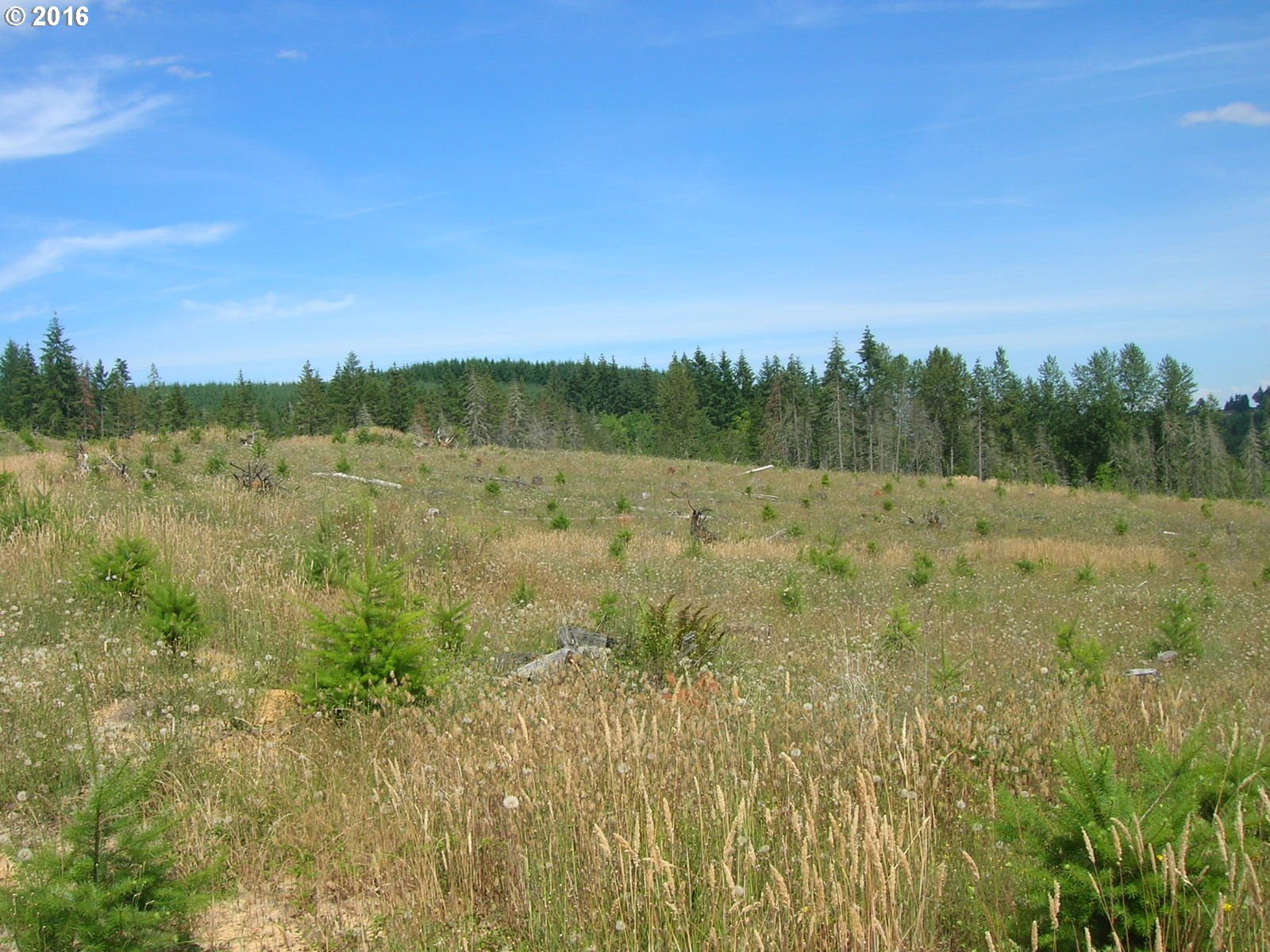 Mccain Road Monroe, OR 97456 - Photo 14 of 23 Gallery Image 14