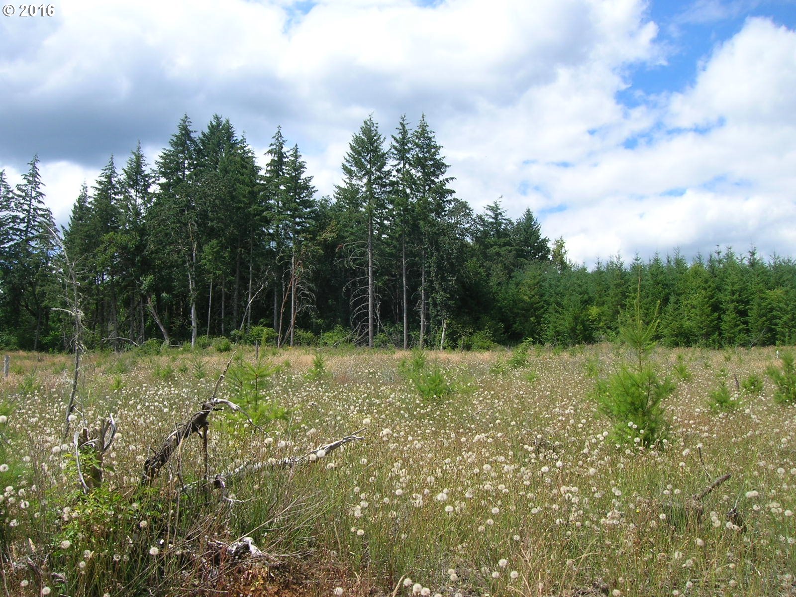 Mccain Road Monroe, OR 97456 - Photo 16 of 23 Gallery Image 16