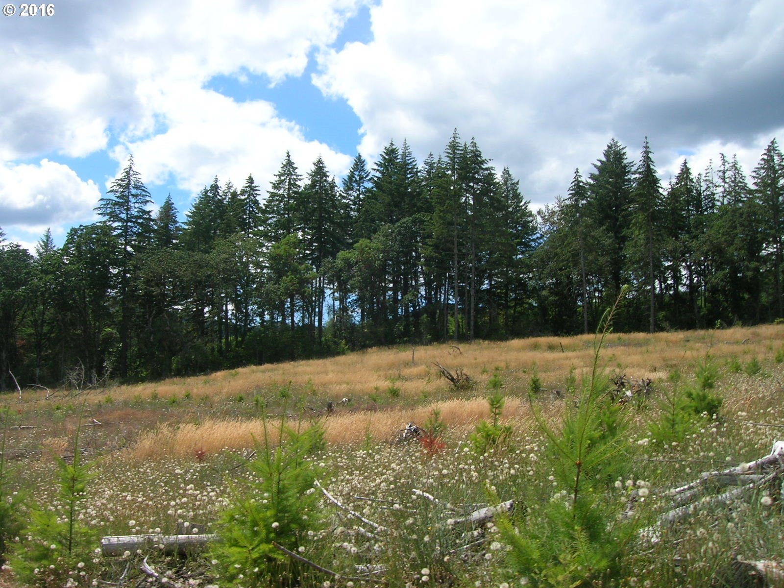 Mccain Road Monroe, OR 97456 - Photo 17 of 23 Gallery Image 17