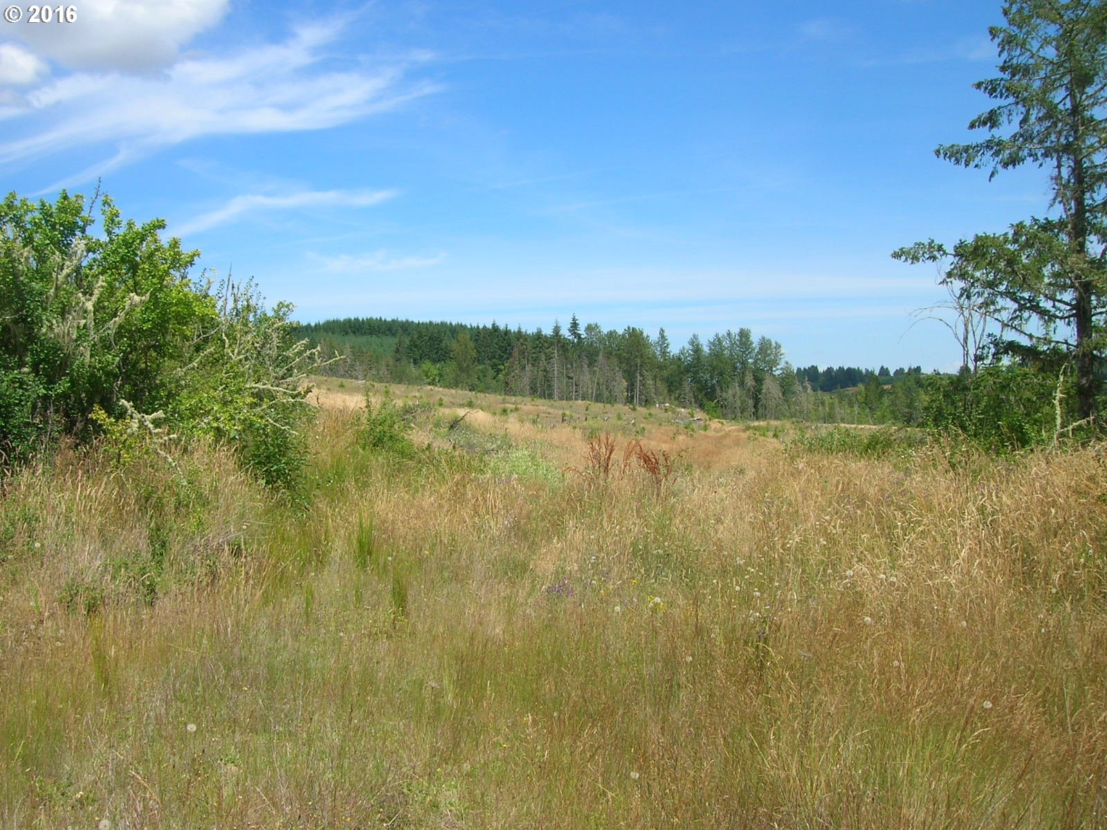 Mccain Road Monroe, OR 97456 - Photo 18 of 23 Gallery Image 18