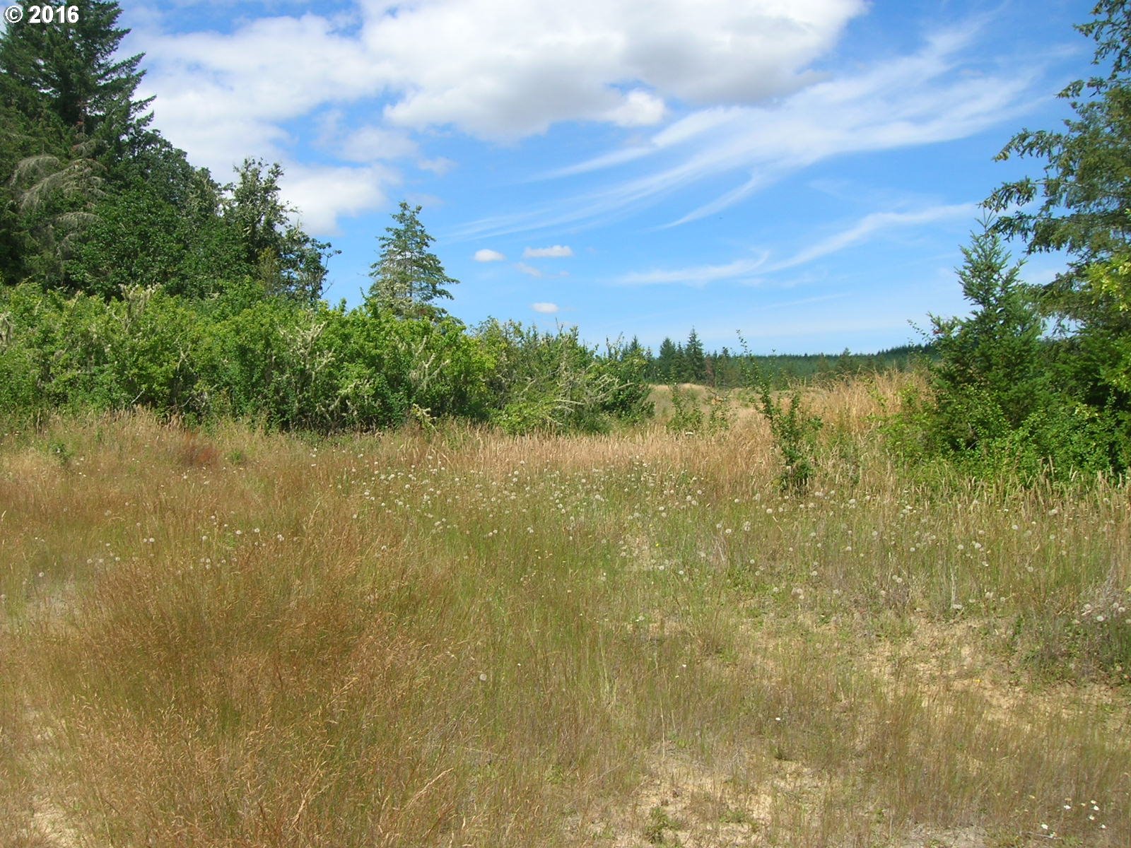 Mccain Road Monroe, OR 97456 - Photo 19 of 23 Gallery Image 19