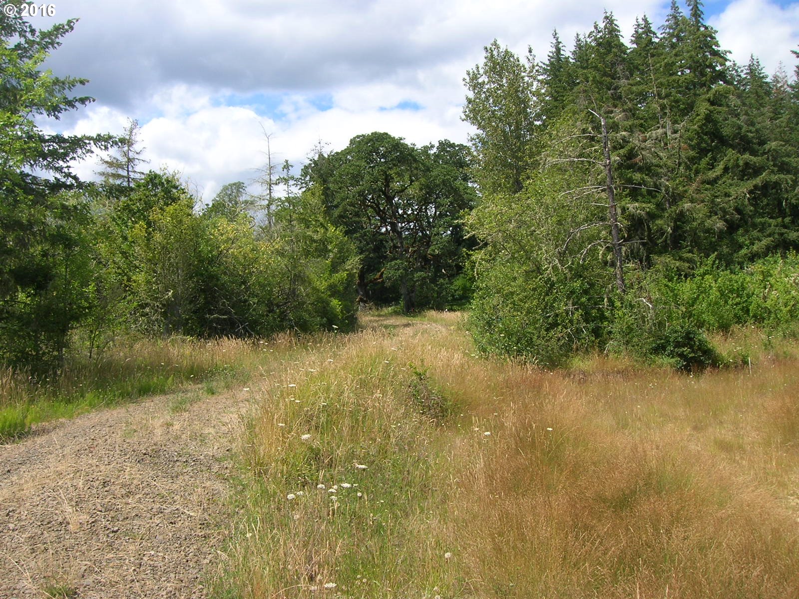 Mccain Road Monroe, OR 97456 - Photo 21 of 23 Gallery Image 21