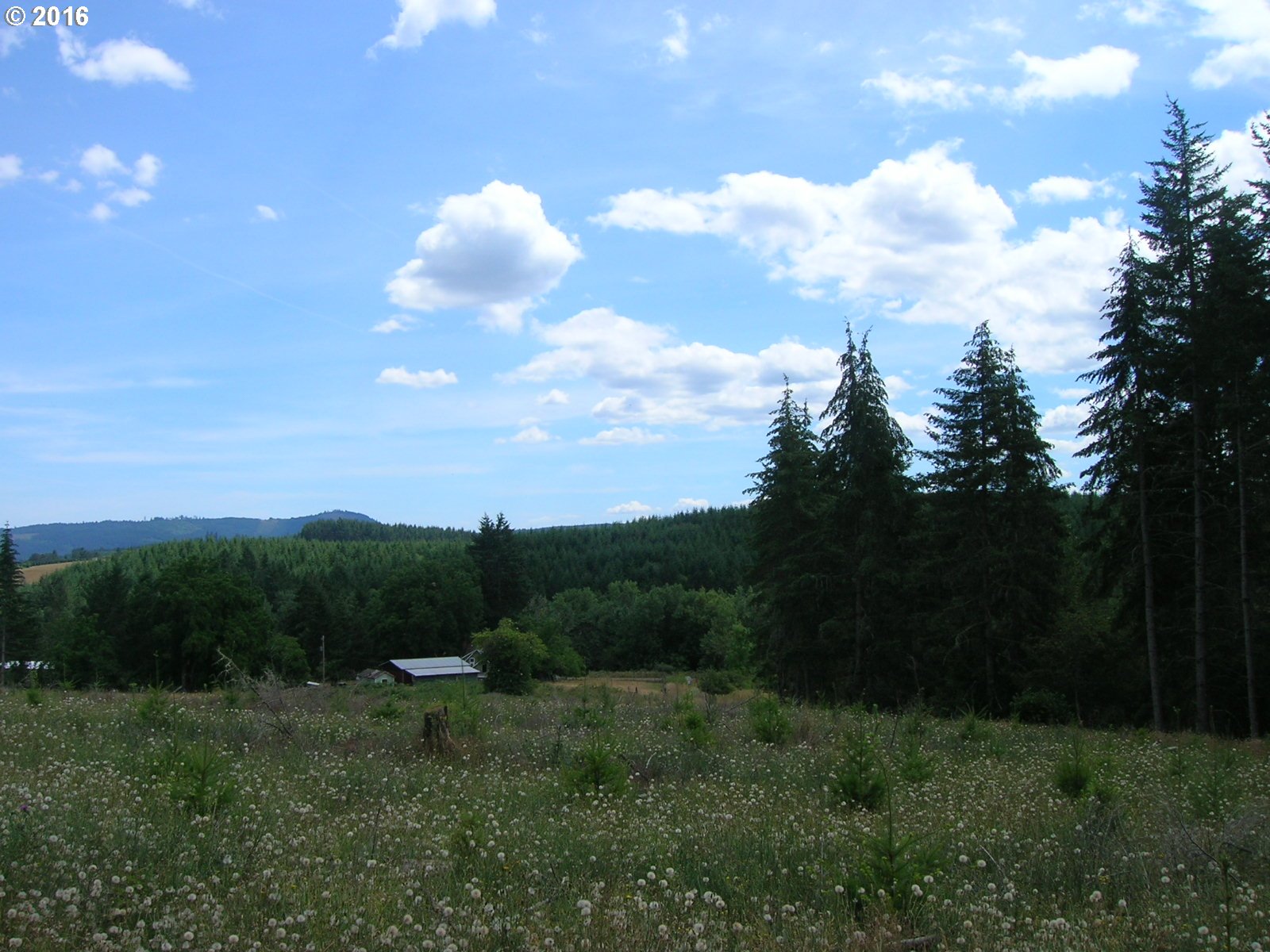 Mccain Road Monroe, OR 97456 - Photo 5 of 23 Gallery Image 5