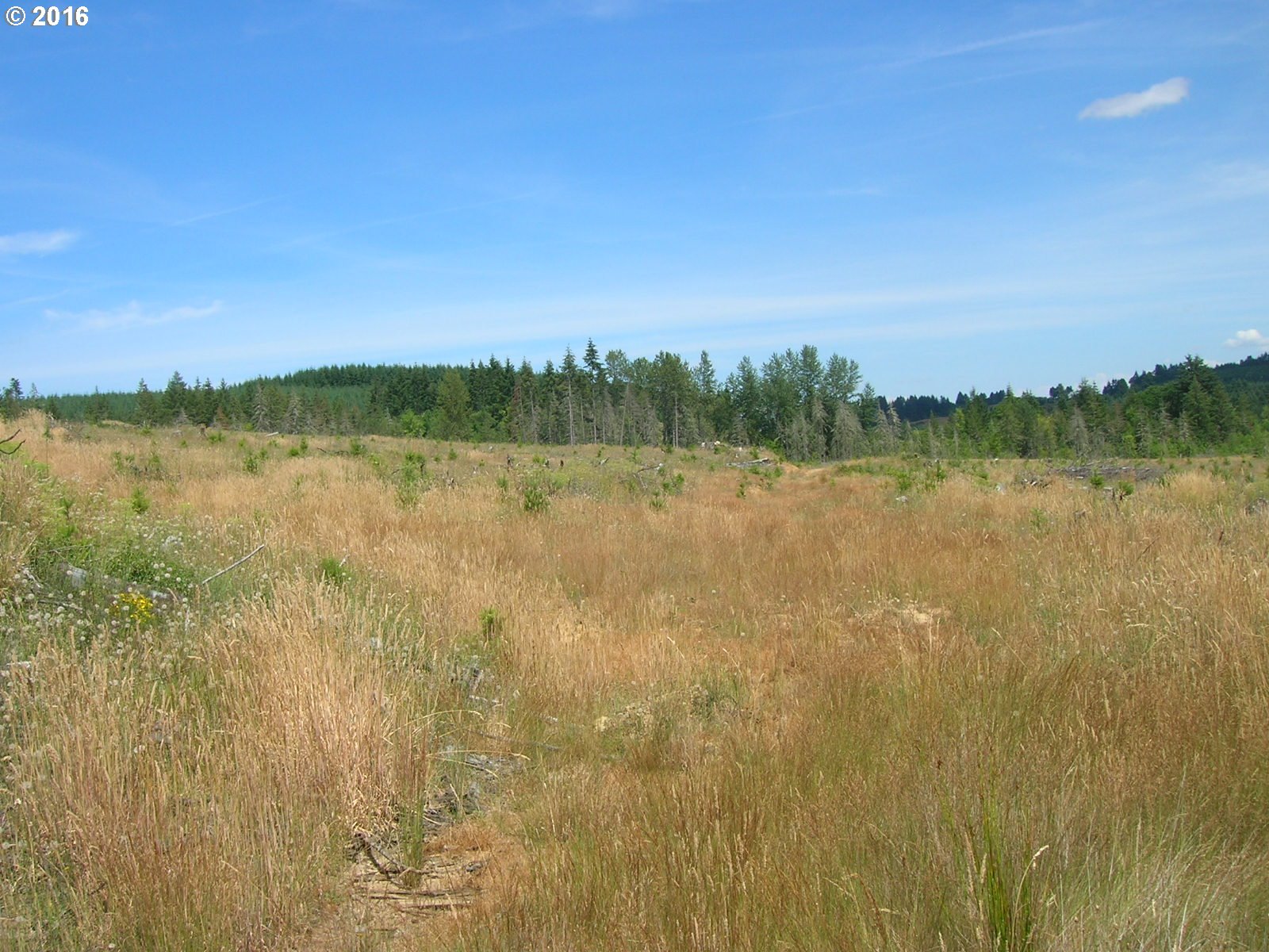 Mccain Road Monroe, OR 97456 - Photo 8 of 23 Gallery Image 8
